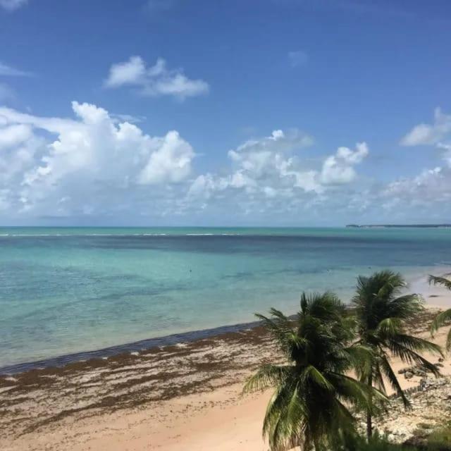 Apartamento Lindo Pe Na Areia Com Terraco Frente Mar *